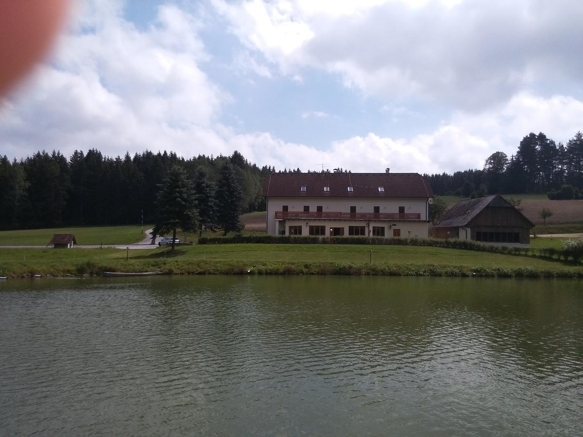 Hotel Sonnenhof Litschau Zewnętrze zdjęcie
