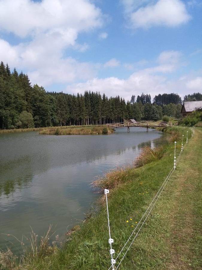 Hotel Sonnenhof Litschau Zewnętrze zdjęcie