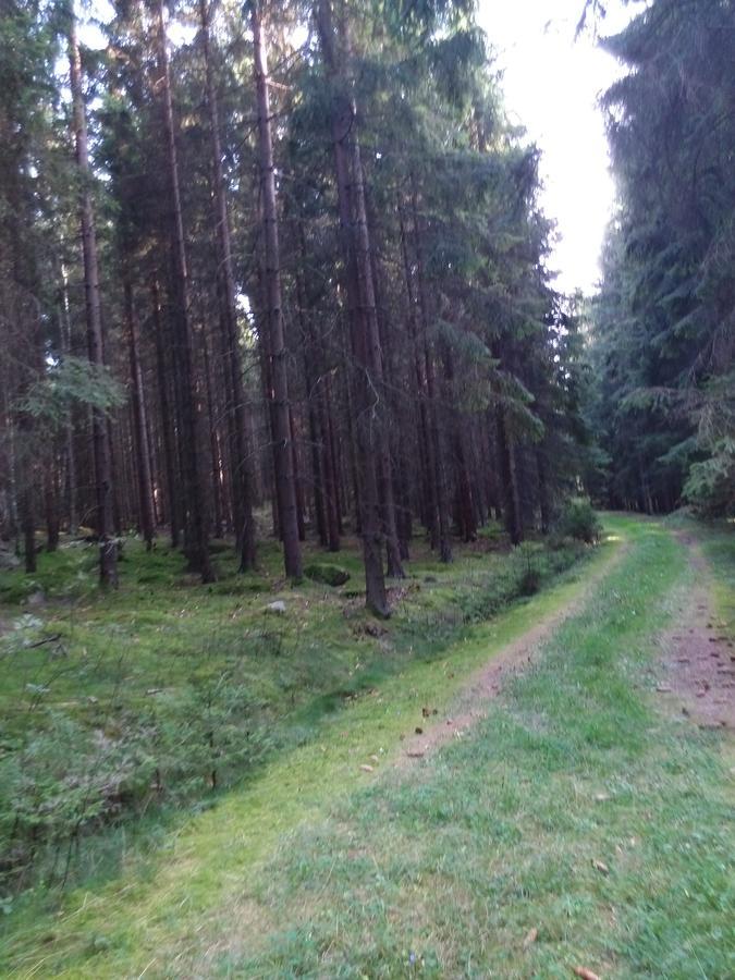 Hotel Sonnenhof Litschau Zewnętrze zdjęcie